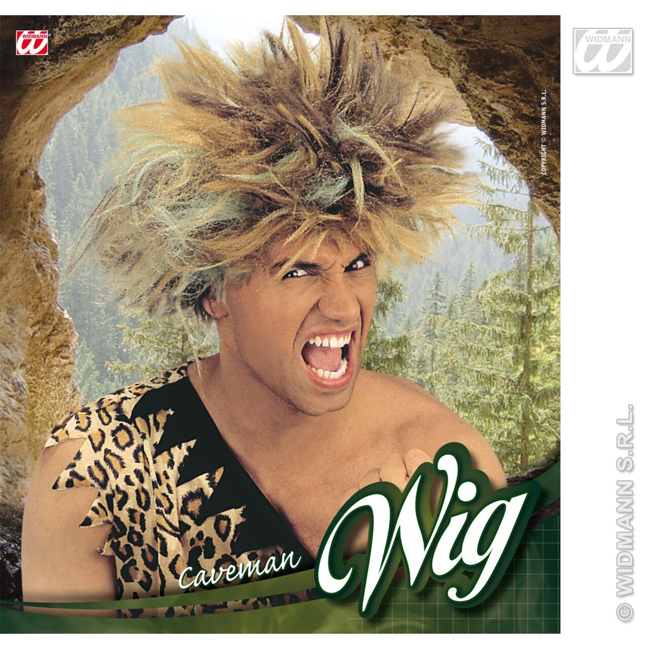 Op deze afbeelding zie je een Accessoires, van het merk Widmann. Pruik, Fred
