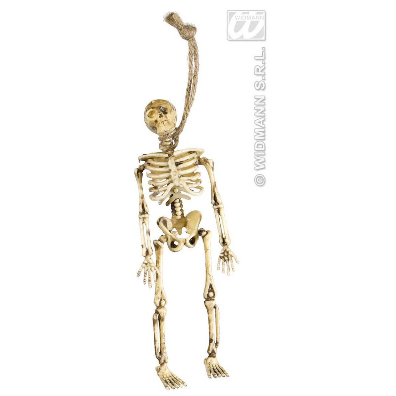Op deze afbeelding zie je een Decoratie, van het merk Widmann. Skeletjes 15 Centimeter