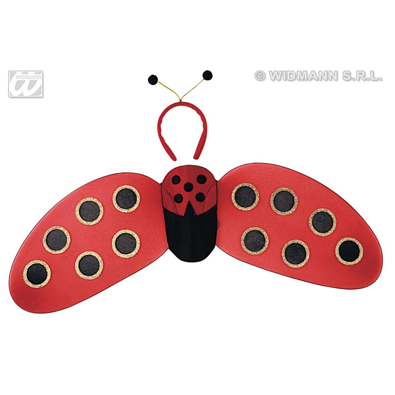 Op deze afbeelding zie je een Accessoires, van het merk Widmann. Lieveheersbeestje Set