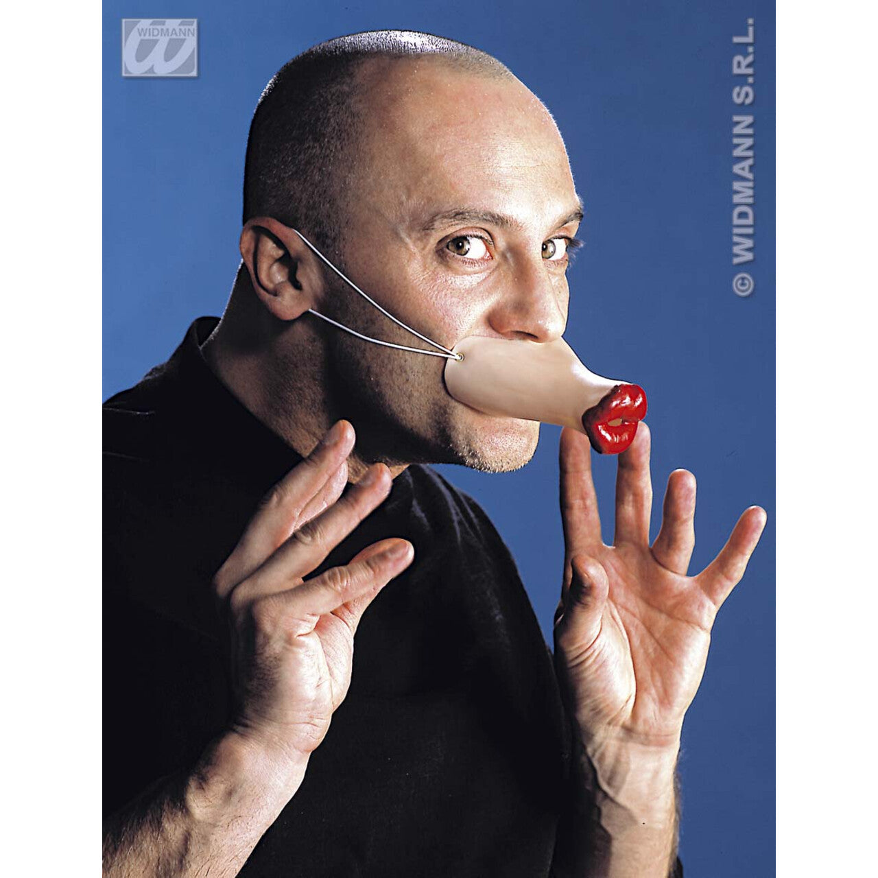 Op deze afbeelding zie je een Accessoires, van het merk Widmann. Lippen Kiss Me