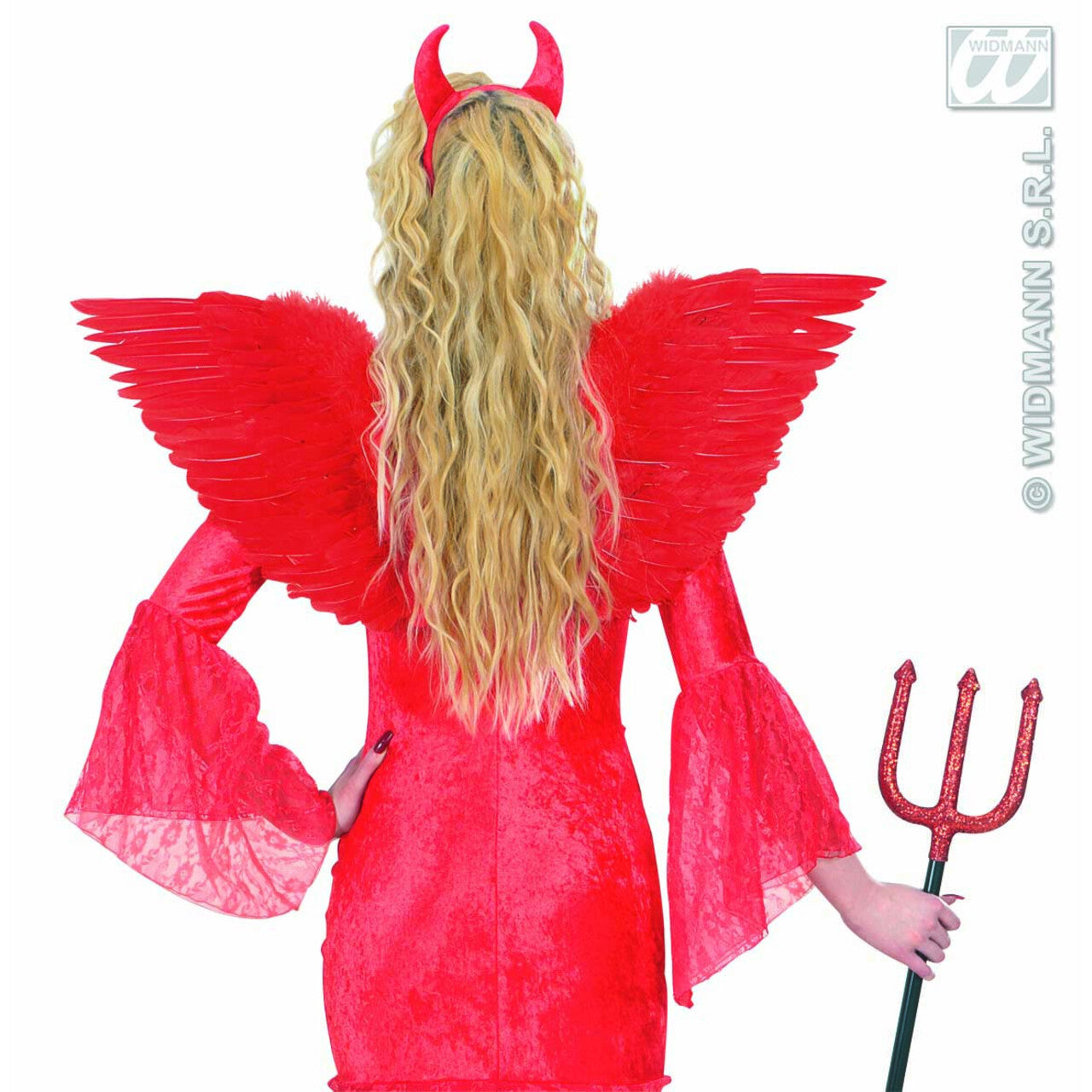 Op deze afbeelding zie je een Accessoires, van het merk Widmann. Gevederde Vleugels Rood