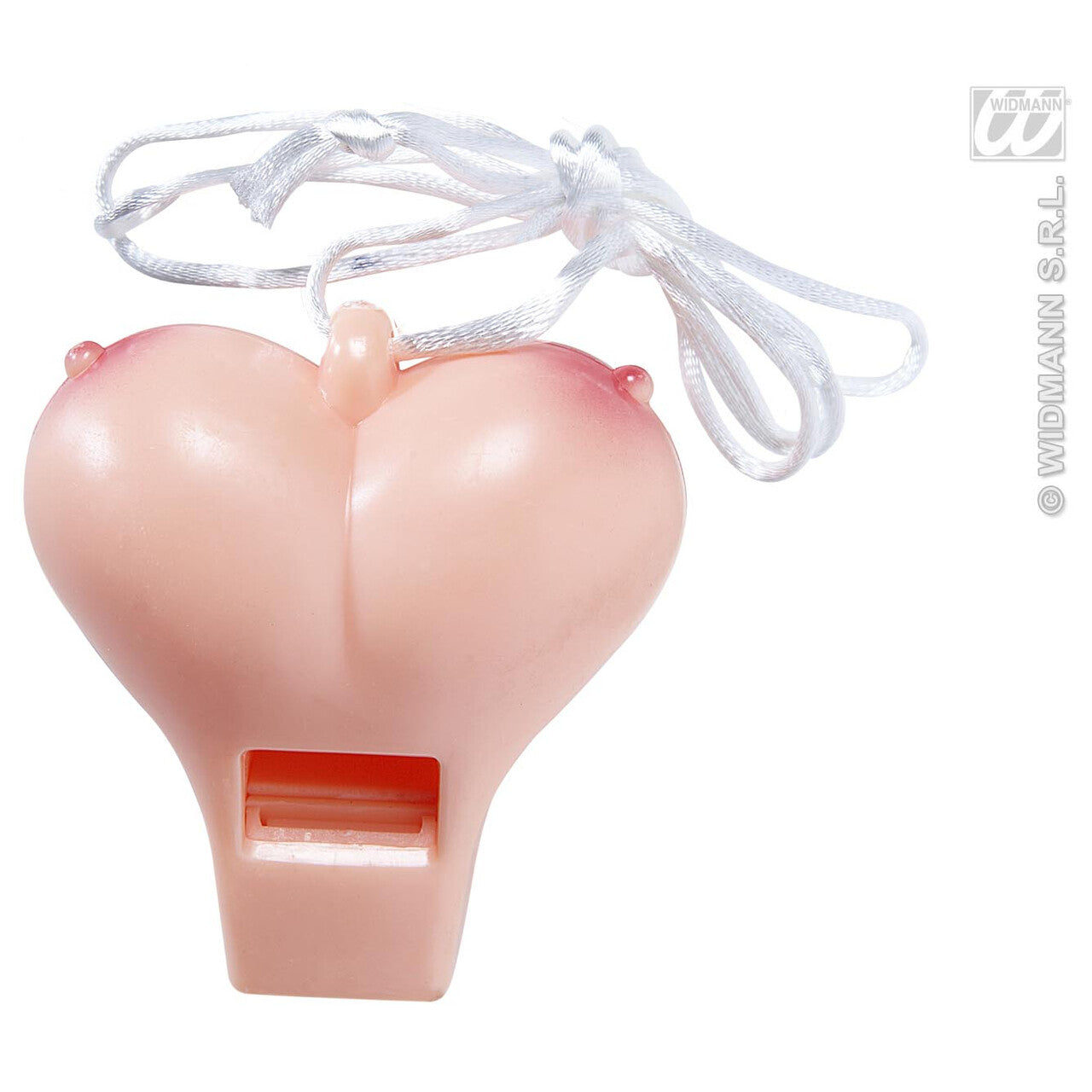 Op deze afbeelding zie je een Accessoires, van het merk Widmann. Borsten Fluitje