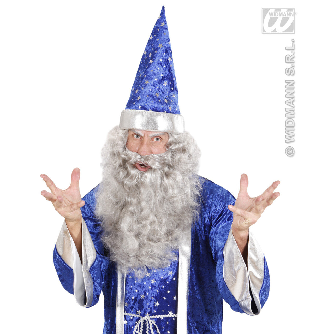 Op deze afbeelding zie je een Accessoires, van het merk Widmann. Maxi Baard Grijs