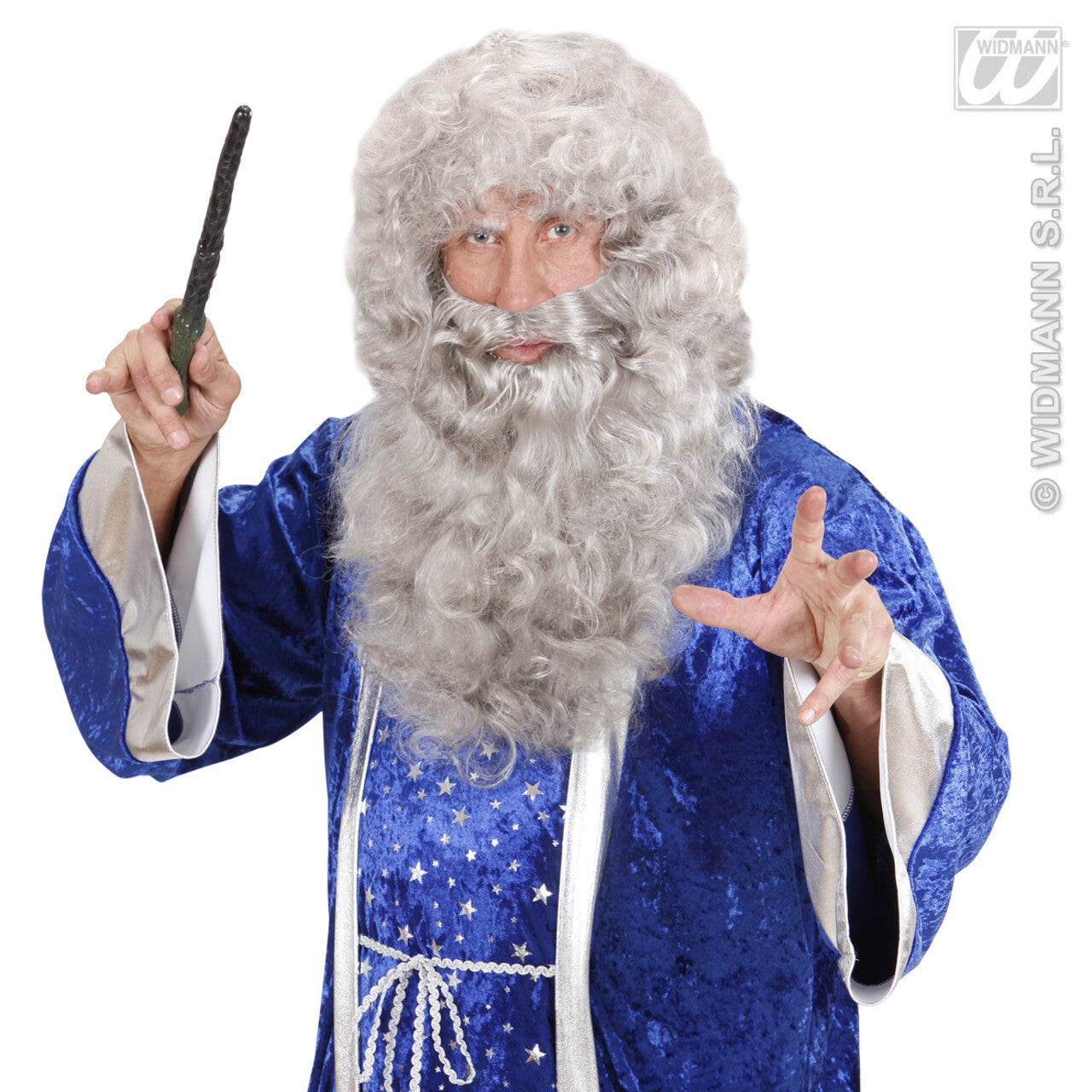 Op deze afbeelding zie je een Accessoires, van het merk Widmann. Maxi Baard Grijs