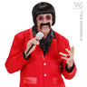 Pruik, Popster 60s Zwart Met Snor En Bril