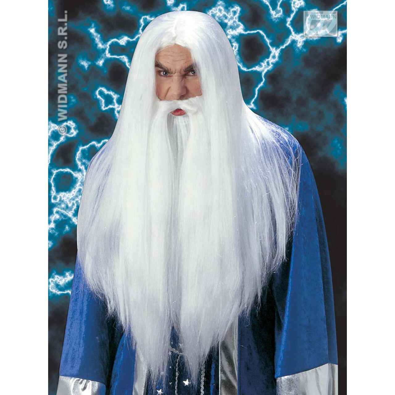 Op deze afbeelding zie je een Accessoires, van het merk Widmann. Pruik, Merlijn De Tovenaar