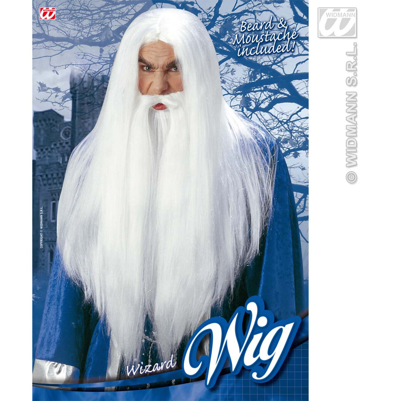 Op deze afbeelding zie je een Accessoires, van het merk Widmann. Pruik, Merlijn De Tovenaar
