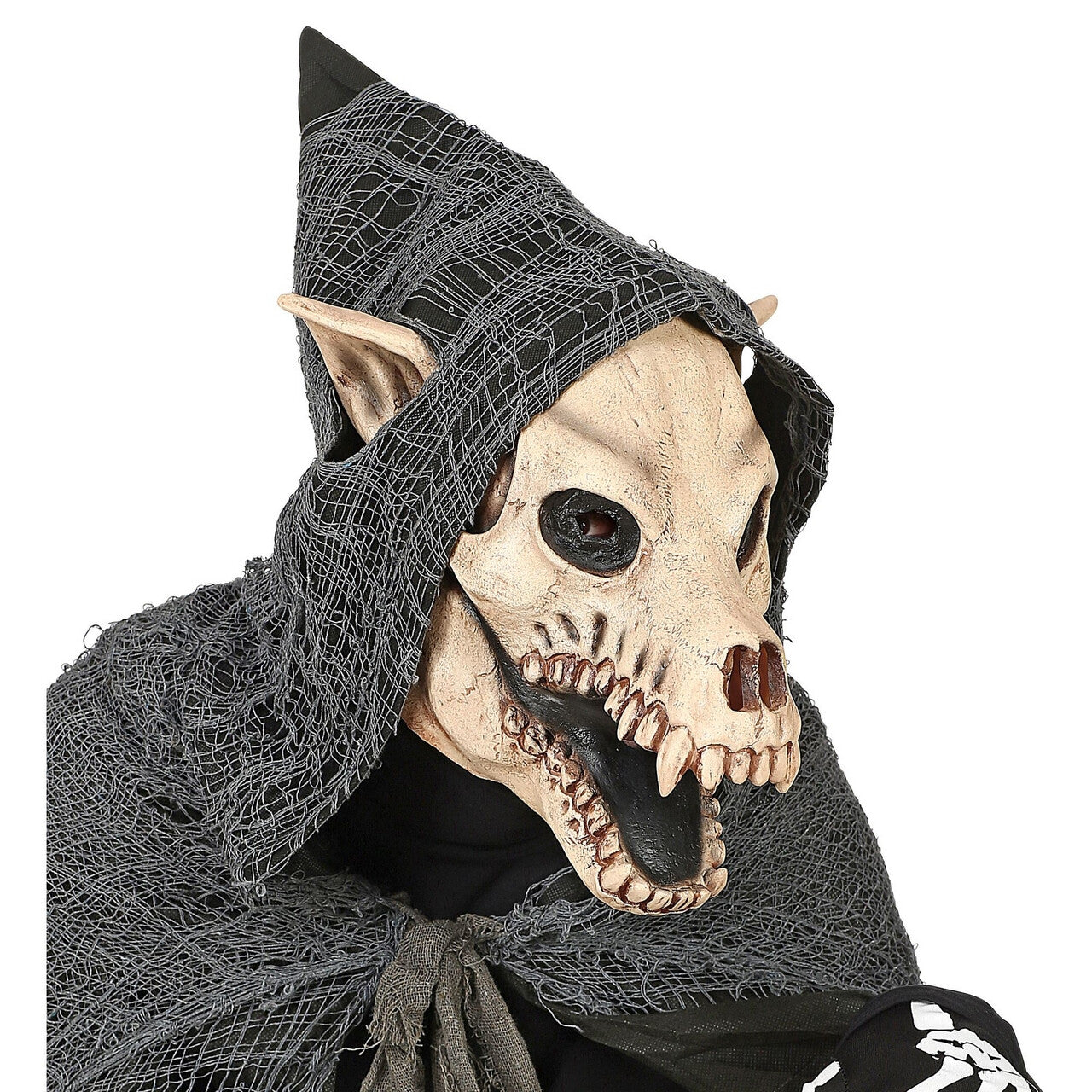 Op deze afbeelding zie je een Accessoires, van het merk Widmann. Masker Schedel Hond