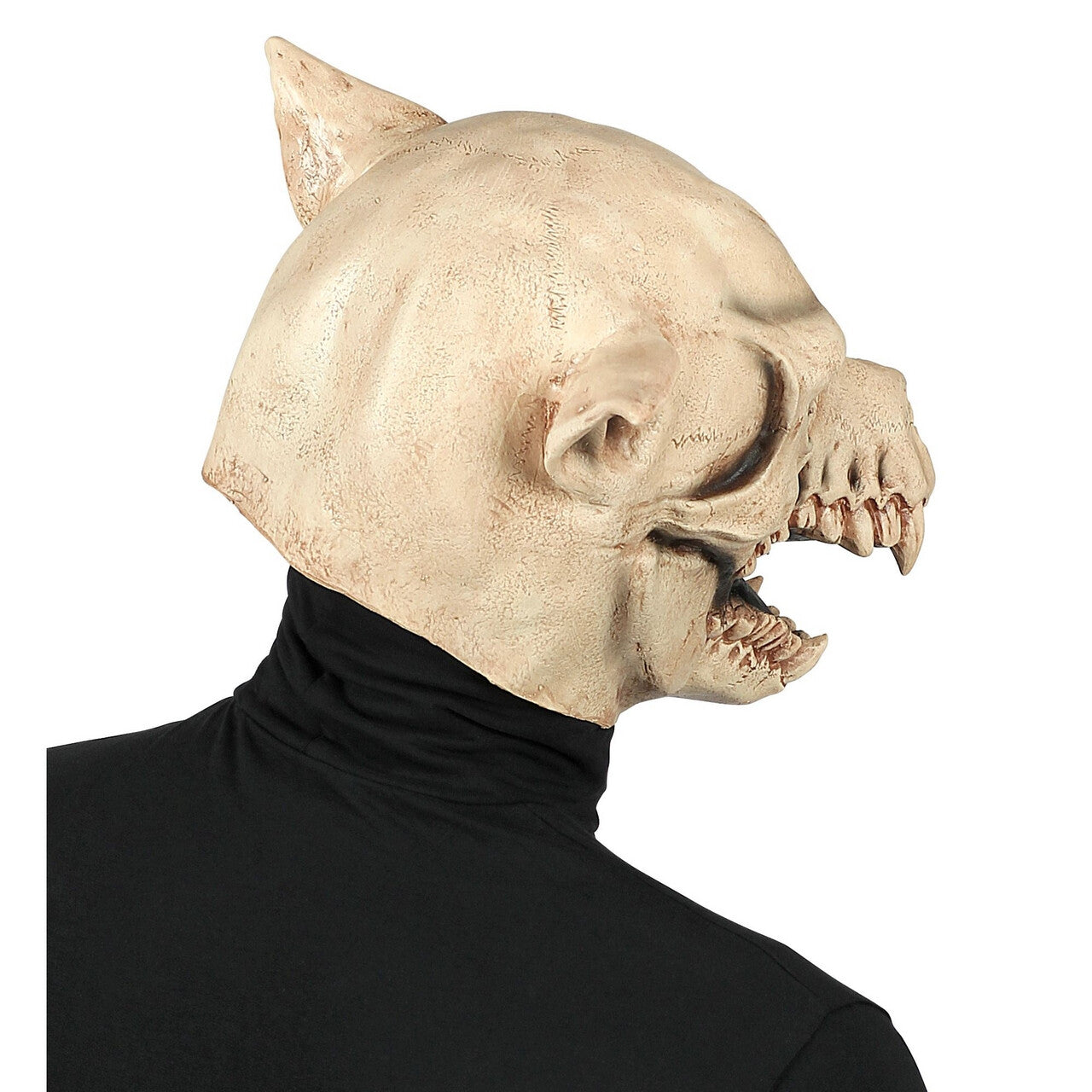 Op deze afbeelding zie je een Accessoires, van het merk Widmann. Masker Schedel Hond