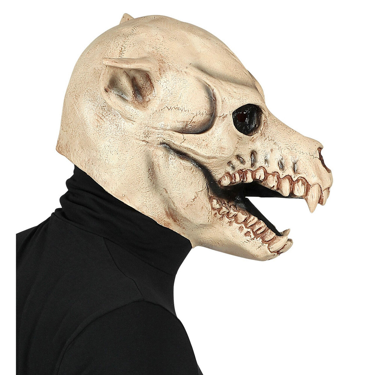 Op deze afbeelding zie je een Accessoires, van het merk Widmann. Masker Schedel Hond