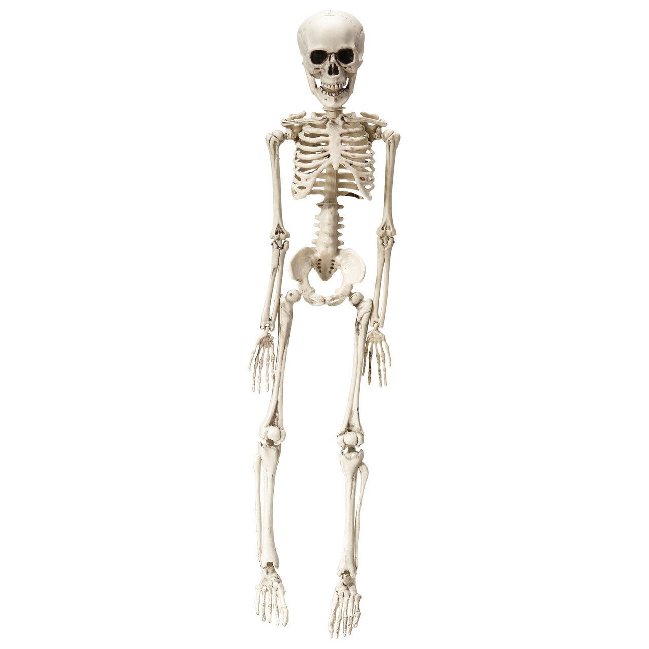 Op deze afbeelding zie je een Decoratie, van het merk Widmann. Bungelend Geraamte 50 Centimeter