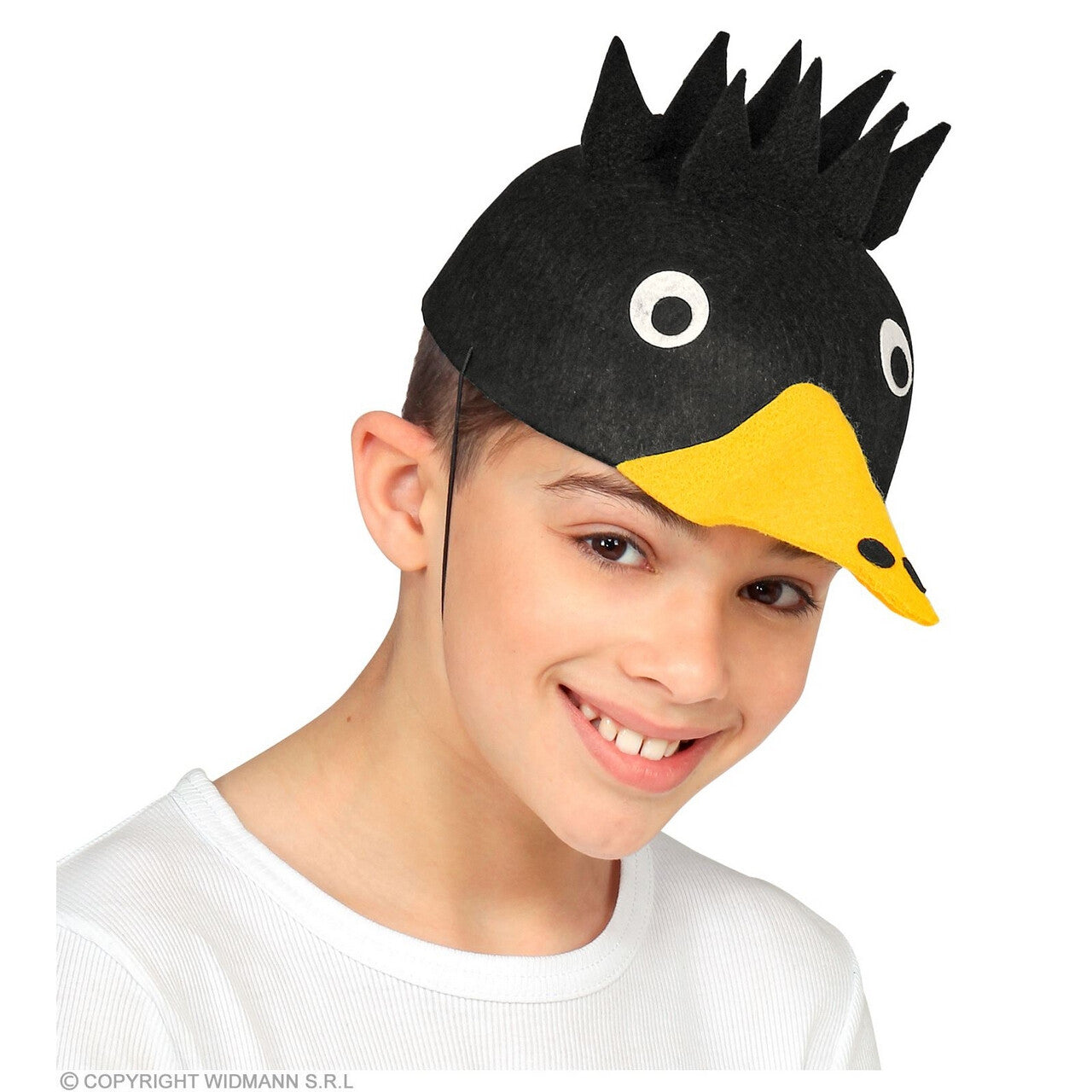 Op deze afbeelding zie je een Accessoires, van het merk Widmann. Kraaien Als Een Kraai Hoed