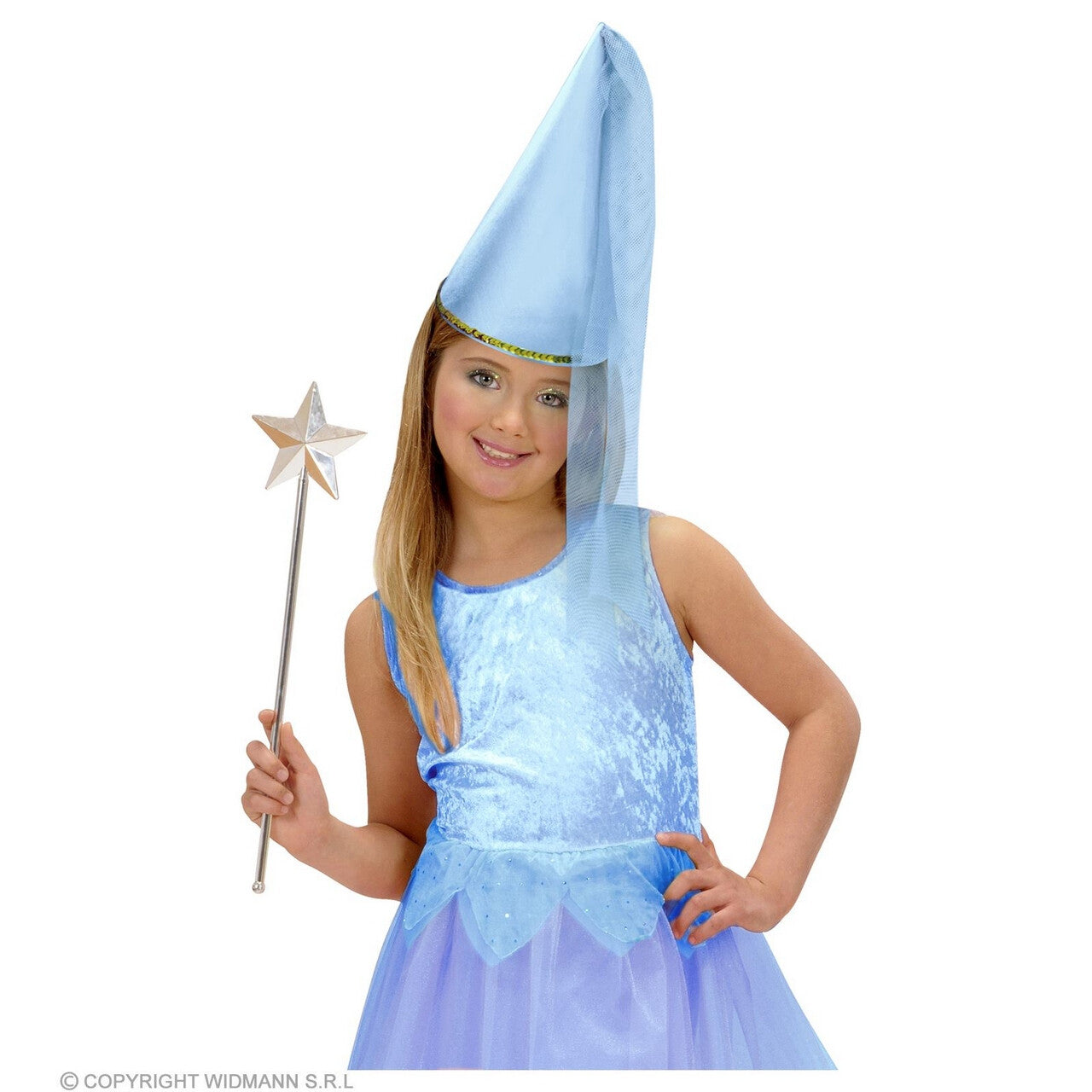 Op deze afbeelding zie je een Accessoires, van het merk Widmann. Fay De Fee Blauw