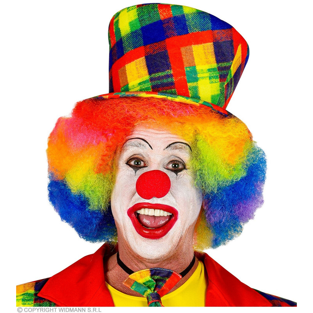 Op deze afbeelding zie je een Accessoires, van het merk Widmann. Kleurige Hoed Clown Geblokt