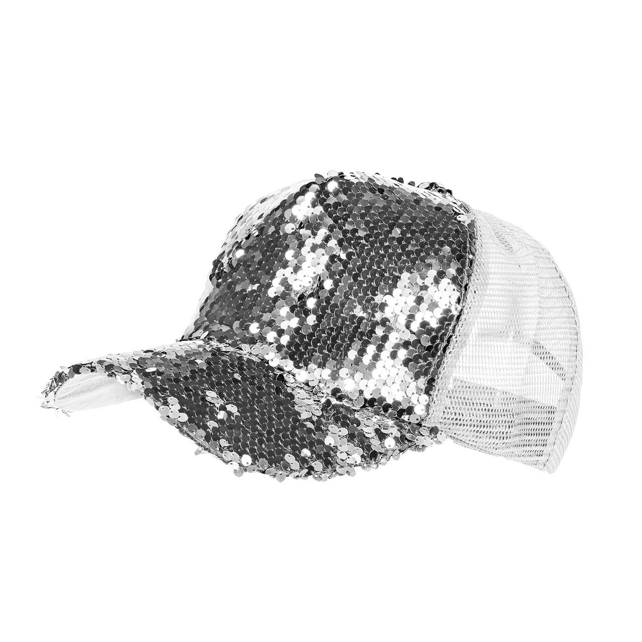 Op deze afbeelding zie je een Accessoires, van het merk Wilbers. Pailletten Pet Blin Bling Zilver