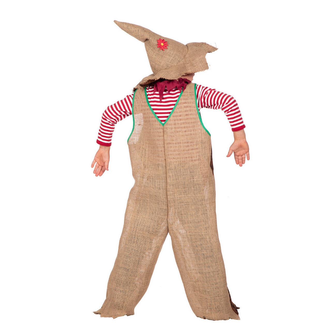 Op deze afbeelding zie je een Kostuums, van het merk Wilbers. Jules De Verschrikkelijke Verschrikker Kind Kostuum